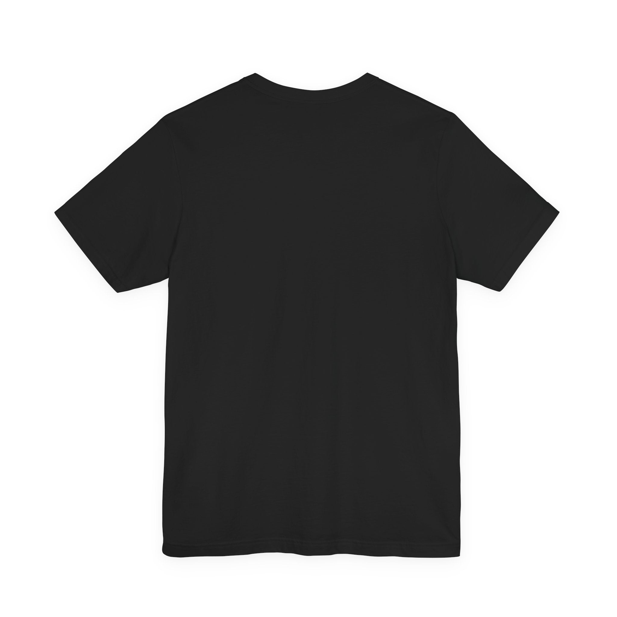 USA 250 Vintage Distressed Tee | Mission To The Moon 2026